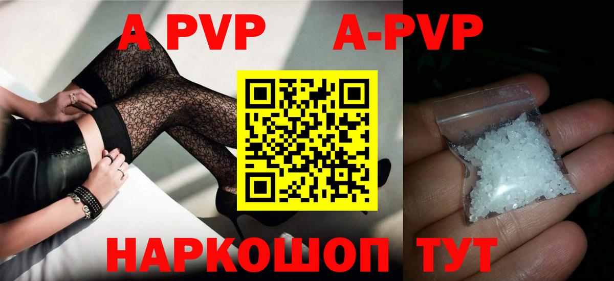 APVP СК Бердск