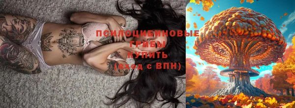 а пвп мука Инта