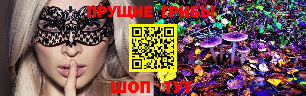 Псилоцибиновые грибы ЛСД  Вход с VPN  Бердск 