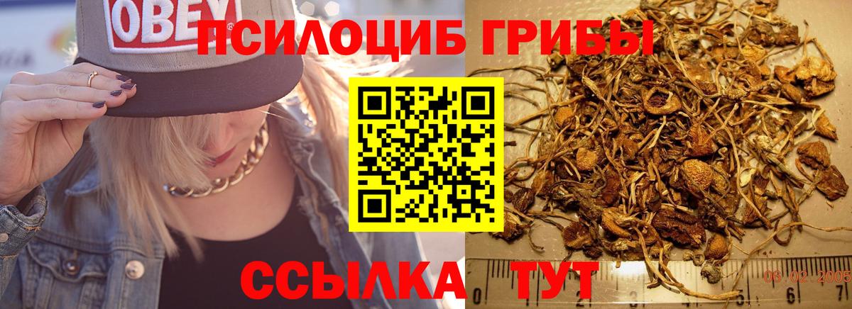 Псилоцибиновые грибы MAGIC MUSHROOMS  Бердск 