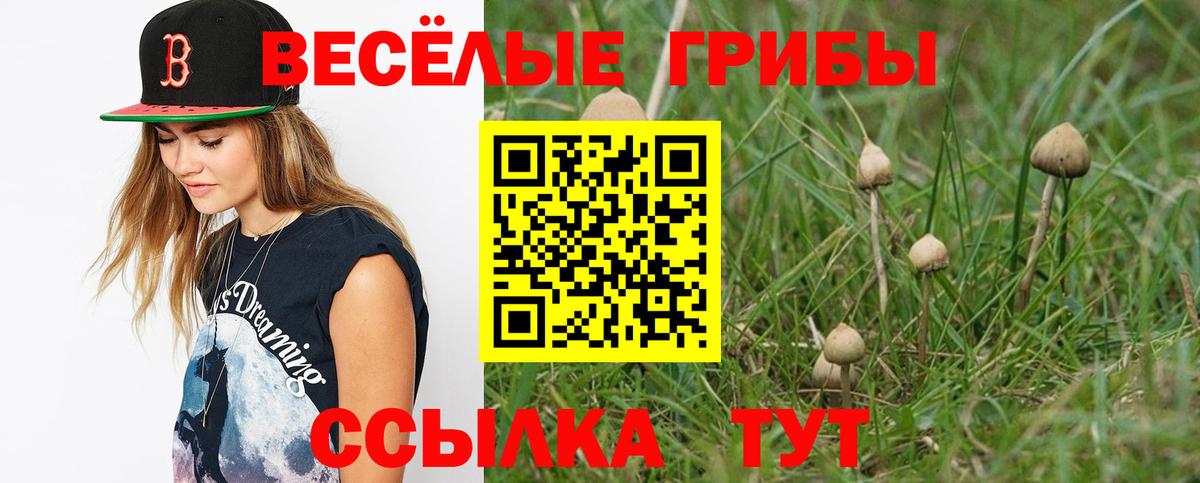 Псилоцибиновые грибы мицелий Бердск